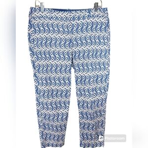 Ann Taylor Womens Carnegie Crop Pants Blue Geometric Mid Rise Skinny Size 8